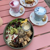 Vegan buddha bowl (18.50€)  at Spread The Moon in Brussels