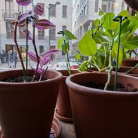  at Spread The Moon in Brussels