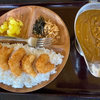 Curry with Shrimp Tempura! 🤤🤤  at The Plant Lab in Los Angeles