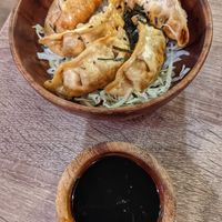 Crispy gyoza (8/10) at The Plant Lab in Los Angeles