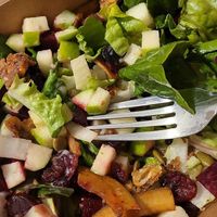 mixed greens, roasted balsamic beets, apples, candied nuts, pepitas, red onion, cranberry, coconut "bacon", with cranberry poppyseed vinaigrette at Radish Kitchen in Peoria