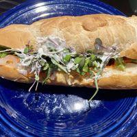 Their vegan banh mi. This is the regular size. It’s larger than my plate.   at La Stella Pasta & Pastry in Norwich