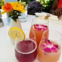   at Sunflower Caffe in Sonoma