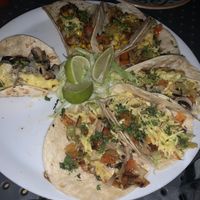 Vegan taco plate with cheese...  at La Taqueria in Belgrade