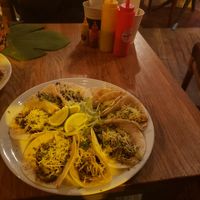 Vegan tacos at La Taqueria in Belgrade