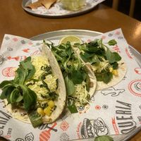   at La Taqueria in Belgrade