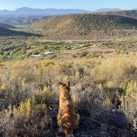   at Ricky's Drift in Riversdale