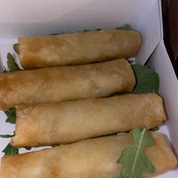 Spring rolls  at Vegamaki Sushi Bar in Porto