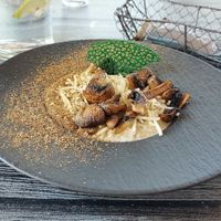 Mushroom risotto € 17,50 at Grey in Vilnius