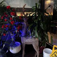 I liked the reindeer   at RAMARN THAI in Lancaster