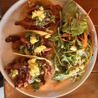   at Ocean's Isla in Isla Mujeres