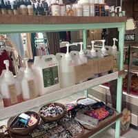  at Shambhala in Koh Phayam