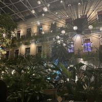   at Twentysix in Budapest