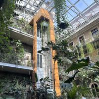   at Twentysix in Budapest