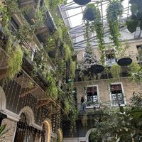   at Twentysix in Budapest