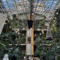   at Twentysix in Budapest