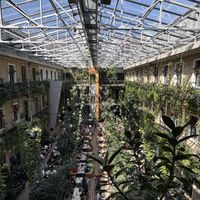   at Twentysix in Budapest