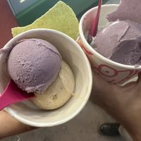   at Beyond Sugar Heladería in Mexico City