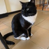   at Marvelous Vegan Plant Power Food in Bogota