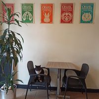  at Marvelous Vegan Plant Power Food in Bogota