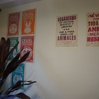 Posters in the cafe  at Marvelous Vegan Plant Power Food in Bogota