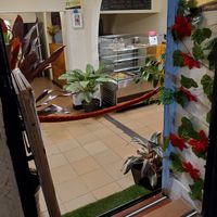 7pm on a Friday at Marvelous Vegan Plant Power Food in Bogota