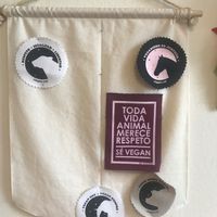  at Marvelous Vegan Plant Power Food in Bogota