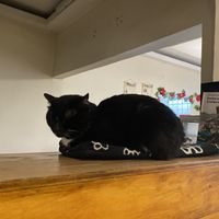   at Marvelous Vegan Plant Power Food in Bogota