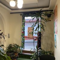   at Marvelous Vegan Plant Power Food in Bogota