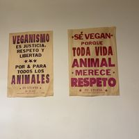   at Marvelous Vegan Plant Power Food in Bogota