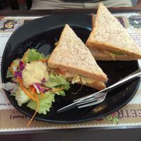 avocado sandwich  at Beetroot Stories Cafe in Chiang Mai