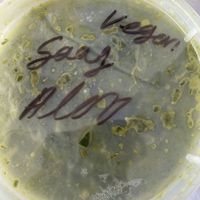 Exactly what it says   at Amma's Kitchen in Cincinnati