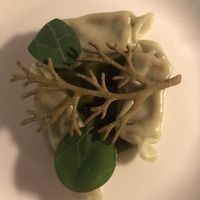   at Aurora in Edinburgh