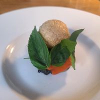  at Aurora in Edinburgh