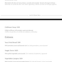 Vegetarian & Vegan menu section  at Luna Muna at Ibagari in Roatan