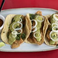   at Fresh & Co in Mexico City