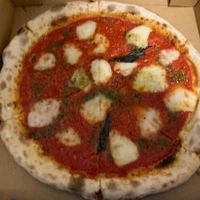 Margarita   at Amalfi Pizzeria in Clayfield