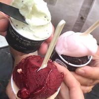 Kiwi, Chocolate-Orange, Blueberry, Grapefruit, Hazelnut   at Gelateria Della Palma in Rome