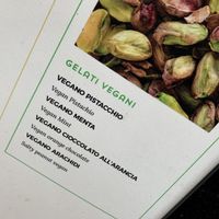 vegan flavours at Gelateria Della Palma in Rome