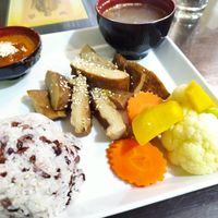 duck with rise and some kind of peanut sauce at Reunion Cafe in Vientiane