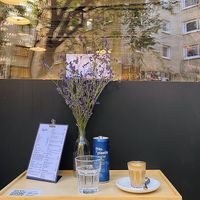 .  at Rapha in Mallorca