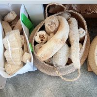 loofa sponges, brushes etc at 1.5 do C  in Seoul