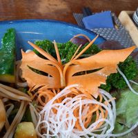 Karottenschmetterling at Cosy in Nuremberg