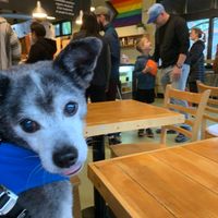  at Mighty-O Donuts - Greenlake in Seattle