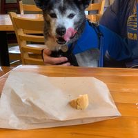  at Mighty-O Donuts - Greenlake in Seattle