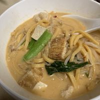Laksa with soy chicken and tofu  at Blossoming Lotus in Greenway