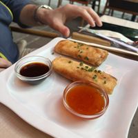 Spring rolls   at Hotel & Brasserie Traube in Zell Am See