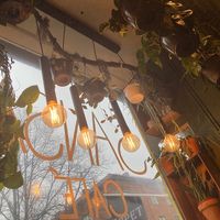 Plants and warmly glowing lightbulbs hanging from the front window. at Sansa in Malmo