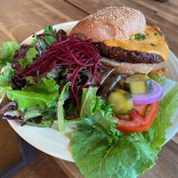 Black Bean Burger at cafegSC in Santa Cruz
