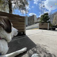 Great place for sunny days  at Pala in Berlin